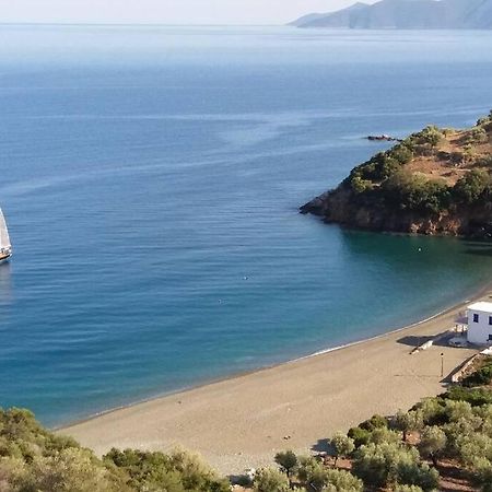 Κατοικία Πανόραμα, Πραγματευτή Λεωνιδίου, Τ.Κ.22300 Λεωνίδιο Εξωτερικό φωτογραφία