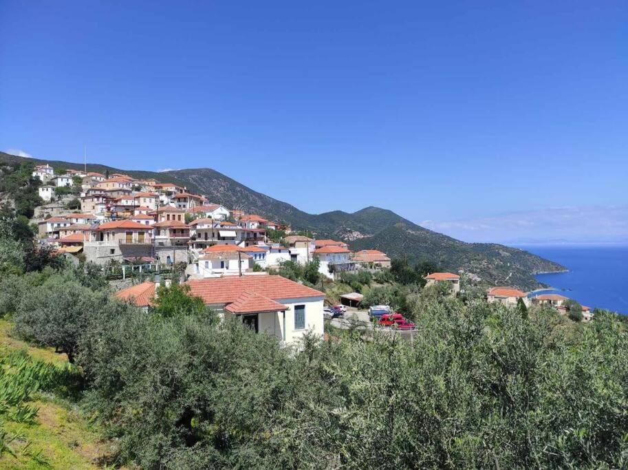 Κατοικία Πανόραμα, Πραγματευτή Λεωνιδίου, Τ.Κ.22300 Λεωνίδιο Εξωτερικό φωτογραφία