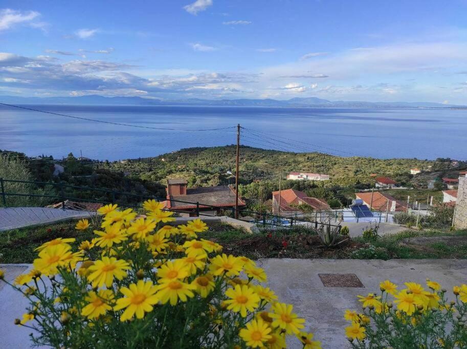 Κατοικία Πανόραμα, Πραγματευτή Λεωνιδίου, Τ.Κ.22300 Λεωνίδιο Εξωτερικό φωτογραφία
