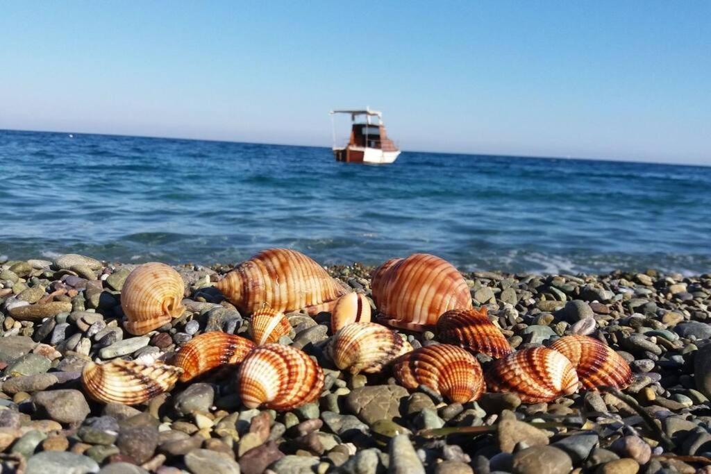 Κατοικία Πανόραμα, Πραγματευτή Λεωνιδίου, Τ.Κ.22300 Λεωνίδιο Εξωτερικό φωτογραφία