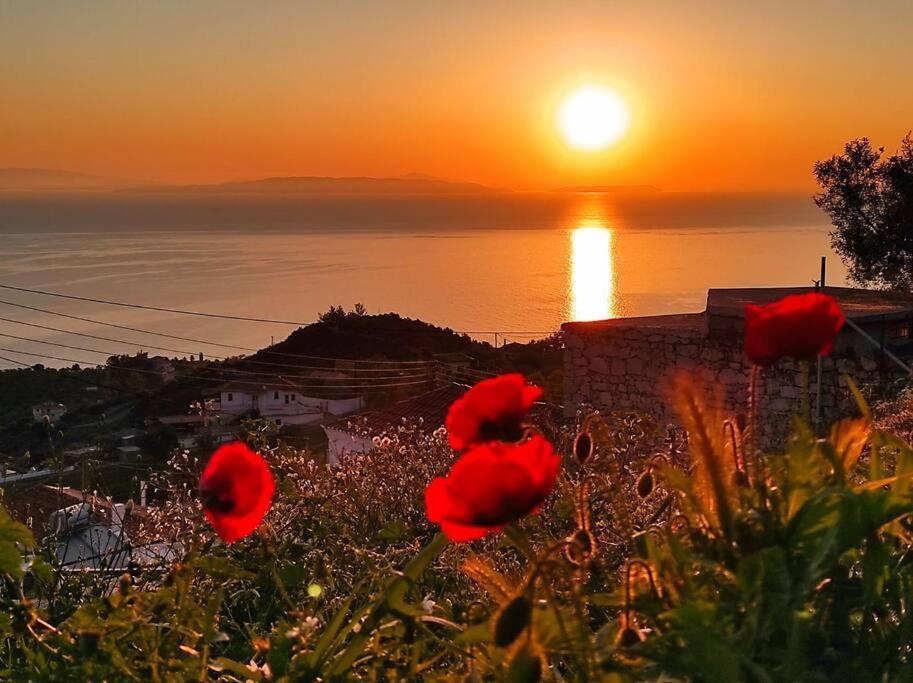 Κατοικία Πανόραμα, Πραγματευτή Λεωνιδίου, Τ.Κ.22300 Λεωνίδιο Εξωτερικό φωτογραφία