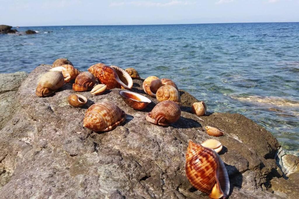 Κατοικία Πανόραμα, Πραγματευτή Λεωνιδίου, Τ.Κ.22300 Λεωνίδιο Εξωτερικό φωτογραφία