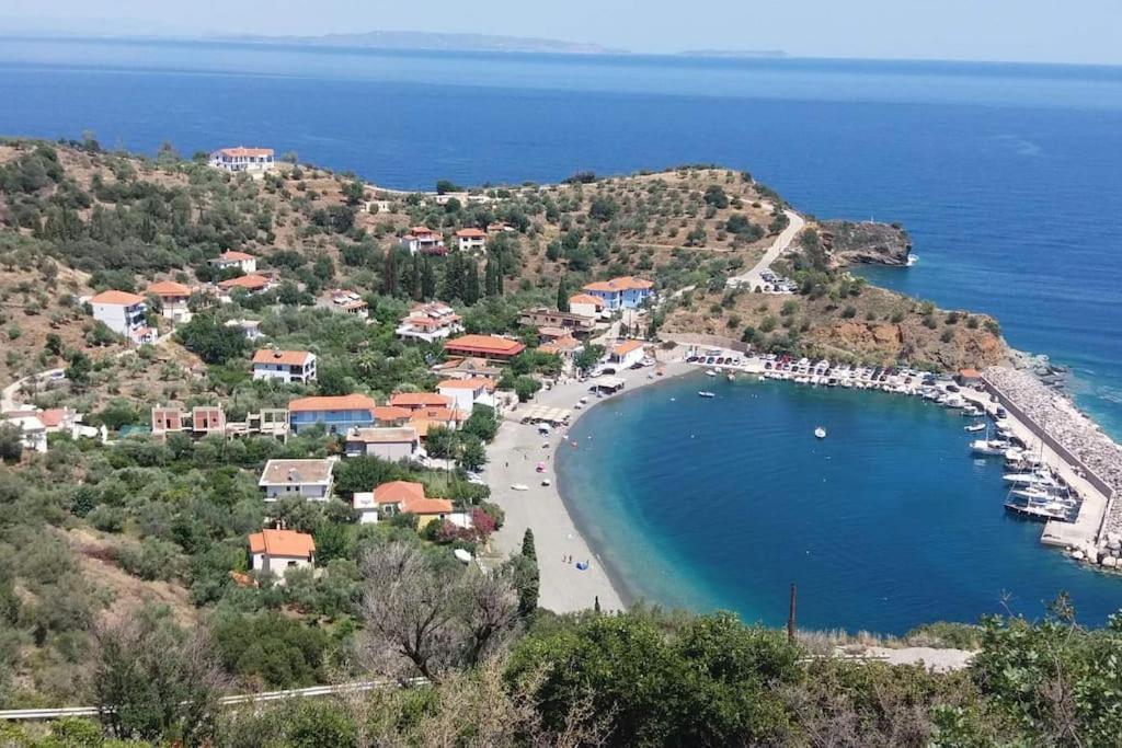 Κατοικία Πανόραμα, Πραγματευτή Λεωνιδίου, Τ.Κ.22300 Λεωνίδιο Εξωτερικό φωτογραφία