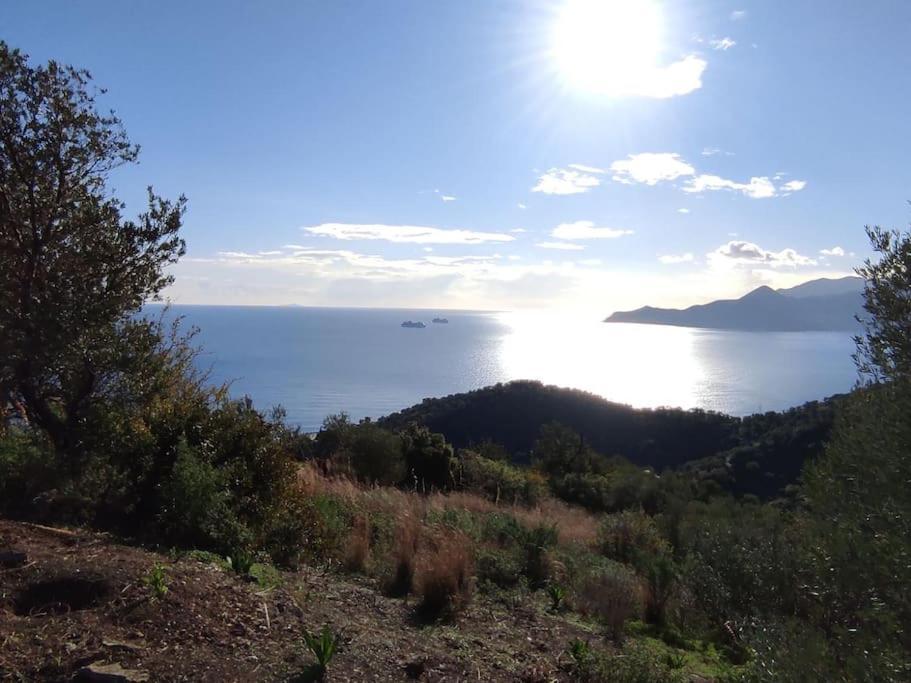 Κατοικία Πανόραμα, Πραγματευτή Λεωνιδίου, Τ.Κ.22300 Λεωνίδιο Εξωτερικό φωτογραφία